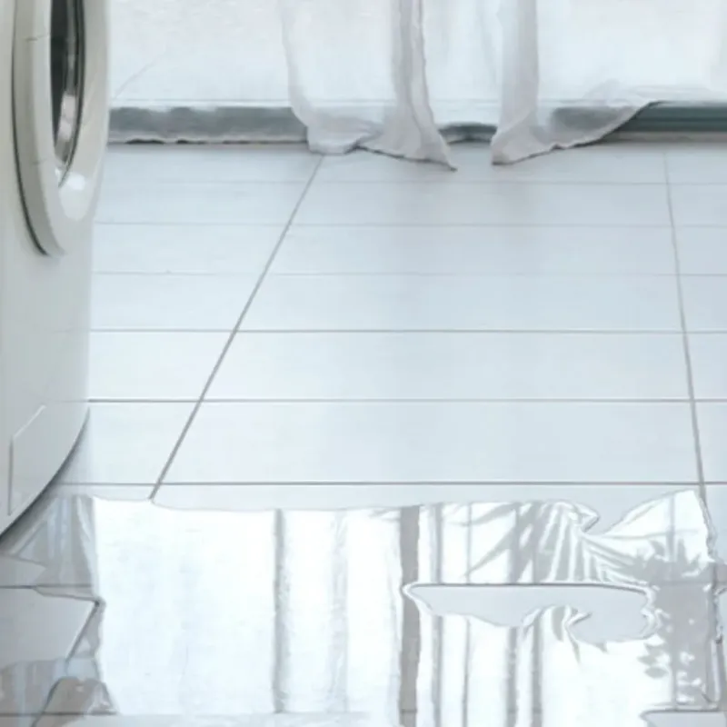 Appliance Leak Cleanup in Milpitas, CA